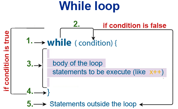 PHP while loop